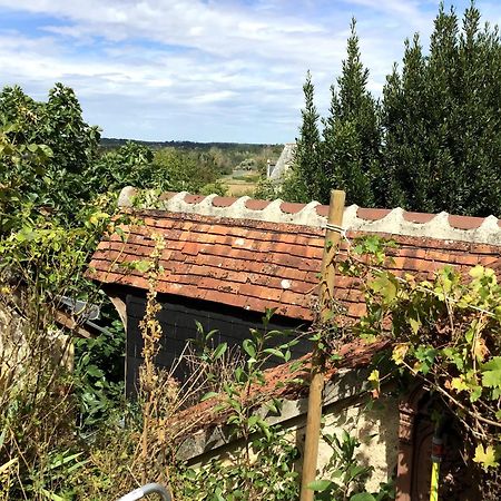 La Maison Bleue De Husseau Ancienne Ferme Semi-Troglodytique 18E Siecle Villa Montlouis-sur-Loire Buitenkant foto